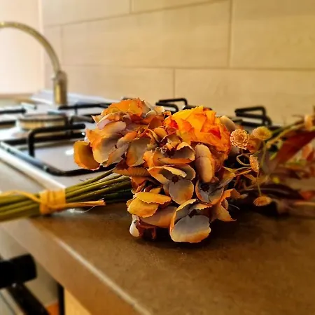 Casa Stella Centro Foce