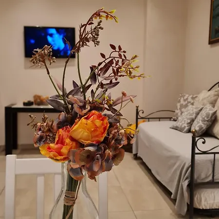 Appartement Casa Stella Centro Foce *